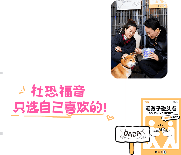 参与者与宠物互动，展示毛孩子碰头点